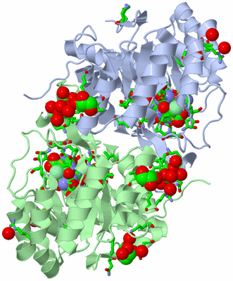 Image Asym./Biol. Unit - sites