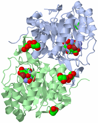 Image Asym./Biol. Unit