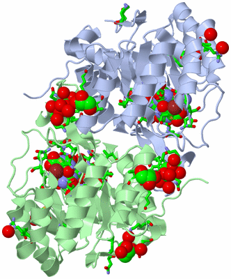 Image Asym./Biol. Unit - sites