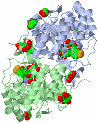 Image Asym./Biol. Unit