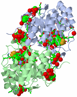 Image Asym./Biol. Unit - sites