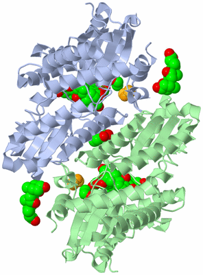 Image Asym./Biol. Unit