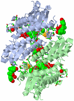 Image Asym./Biol. Unit - sites