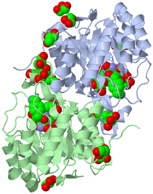 Image Asym./Biol. Unit