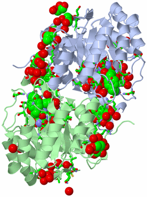 Image Asym./Biol. Unit - sites