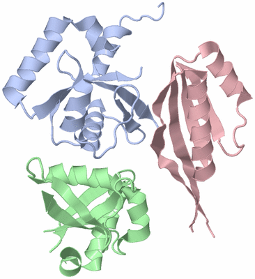 Image Biological Unit 1