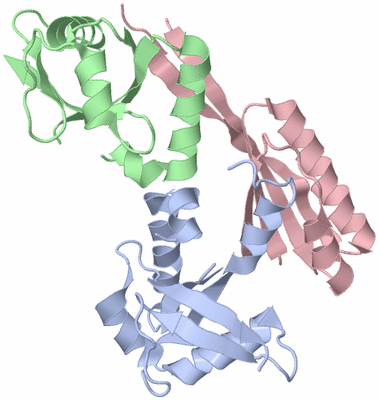 Image Biological Unit 2