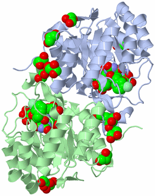 Image Asym./Biol. Unit