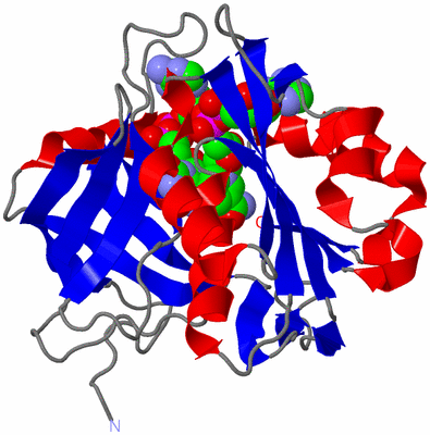 Image Asym./Biol. Unit