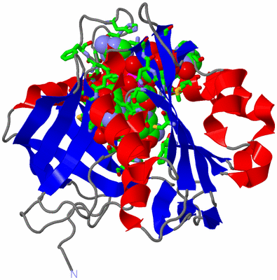 Image Asym./Biol. Unit - sites