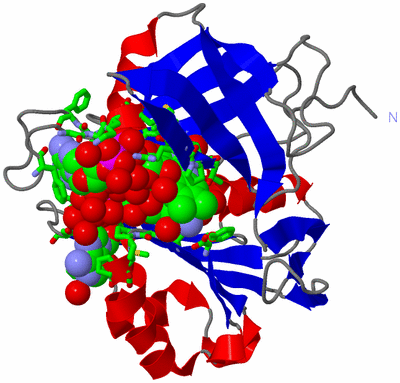 Image Asym./Biol. Unit - sites