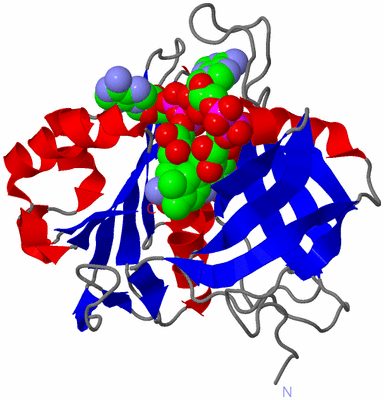 Image Asym./Biol. Unit