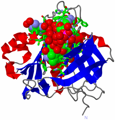 Image Asym./Biol. Unit - sites