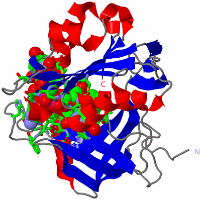 Image Asym./Biol. Unit - sites