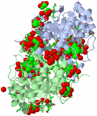 Image Asym./Biol. Unit - sites