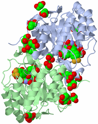 Image Asym./Biol. Unit