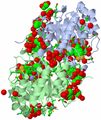 Image Asym./Biol. Unit - sites