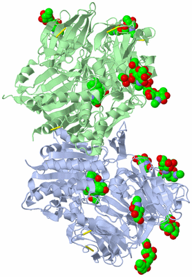 Image Asym./Biol. Unit