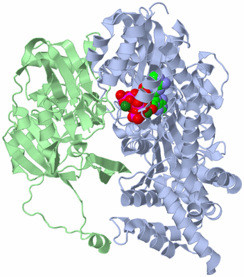 Image Biological Unit 1