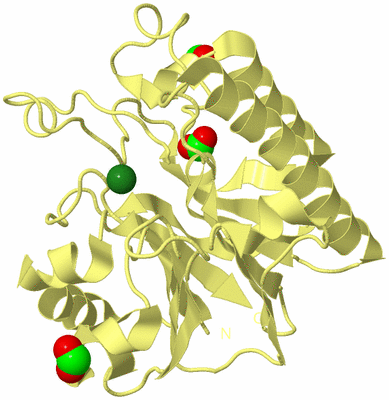 Image Biological Unit 2