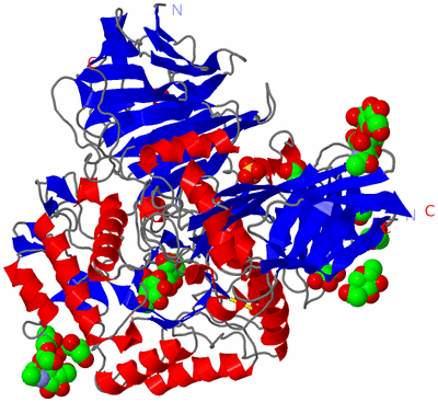 Image Asym./Biol. Unit