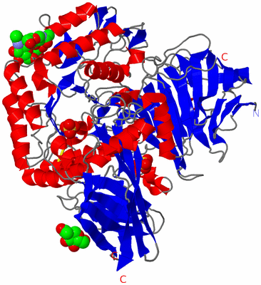 Image Asym./Biol. Unit