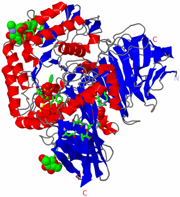 Image Asym./Biol. Unit - sites