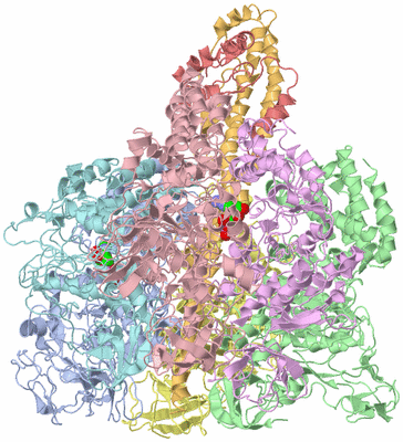 Image Biological Unit 1