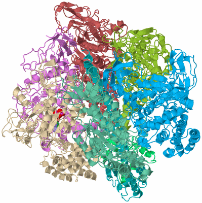 Image Biological Unit 2