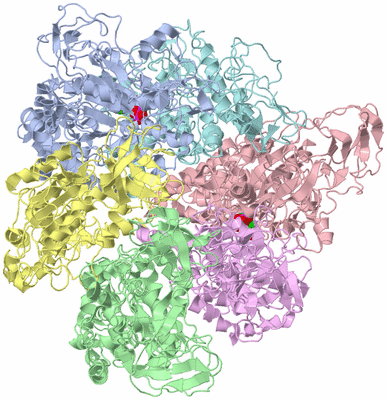 Image Biological Unit 3