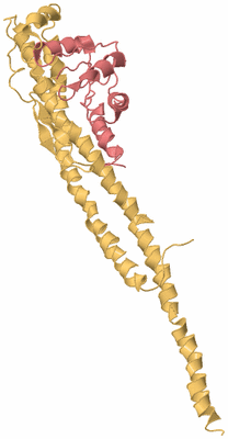 Image Biological Unit 4