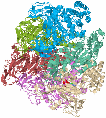 Image Biological Unit 5