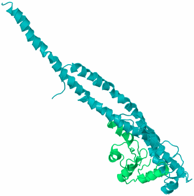 Image Biological Unit 6