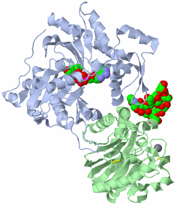 Image Asym./Biol. Unit