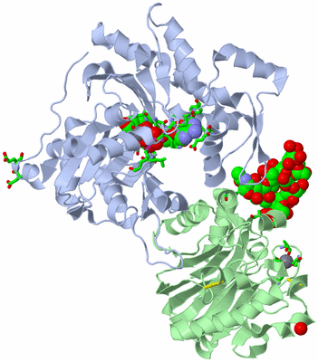 Image Asym./Biol. Unit - sites