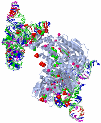 Image Biological Unit 1