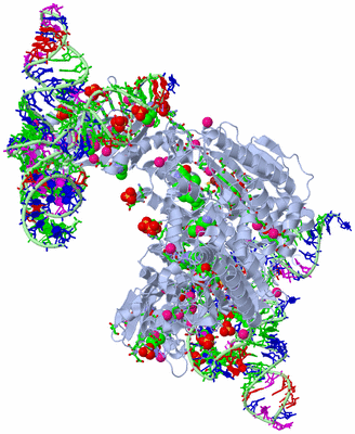 Image Biol. Unit 1 - sites