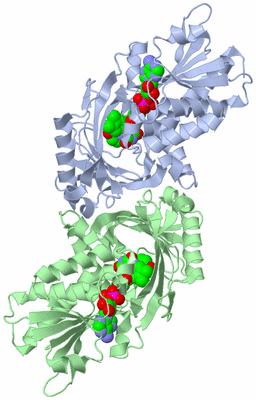 Image Biological Unit 1