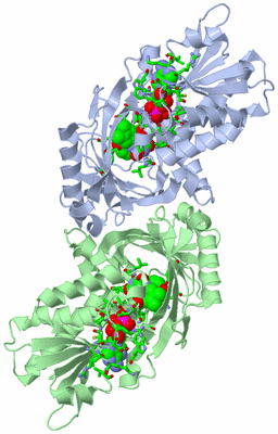 Image Biol. Unit 1 - sites