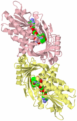 Image Biological Unit 2