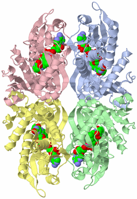 Image Biological Unit 3