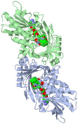 Image Biological Unit 1