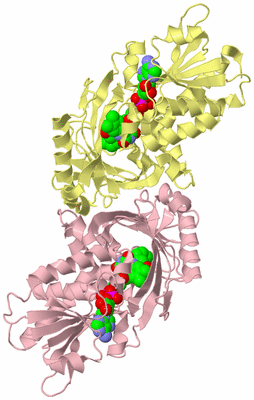 Image Biological Unit 2