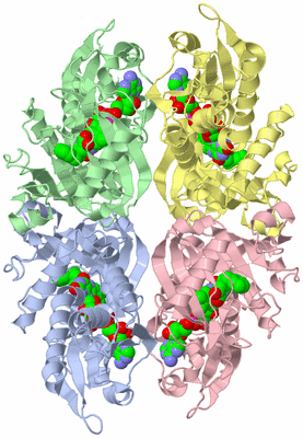 Image Biological Unit 3