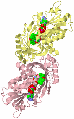 Image Biological Unit 2