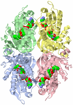 Image Biological Unit 3