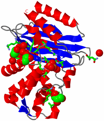 Image Asym./Biol. Unit - sites