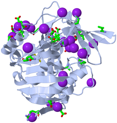 Image Biol. Unit 1 - sites