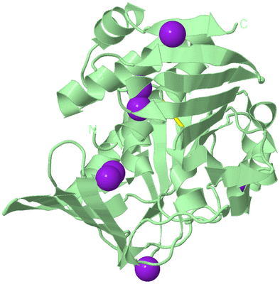 Image Biological Unit 2