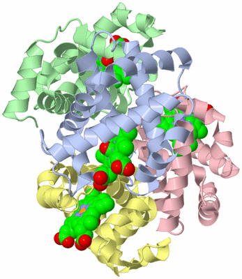 Image Biological Unit 1